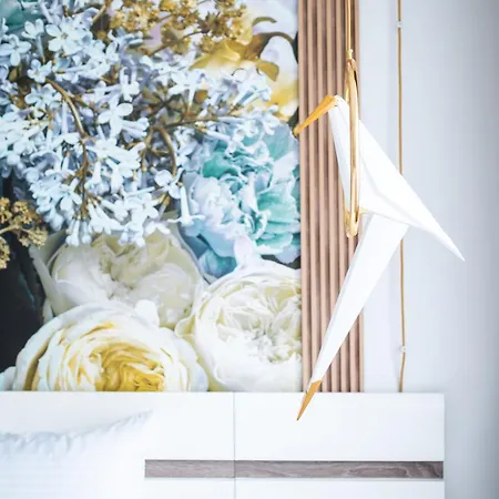 A&k Cozy Art 2 Varna