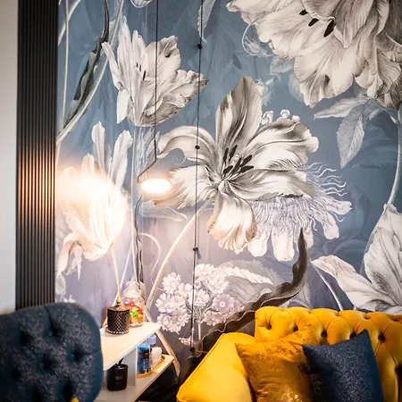 A&k Cozy Art 2 * Varna